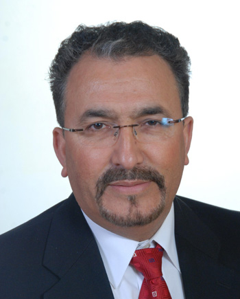 Abdeldjelil "DJ" Belarbi, Ph.D., P.E.